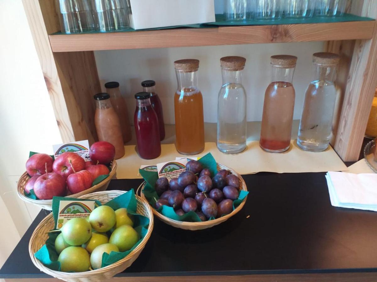 Bioagritur La Casa Dei Trajeri Villa Fai della Paganella Exteriör bild